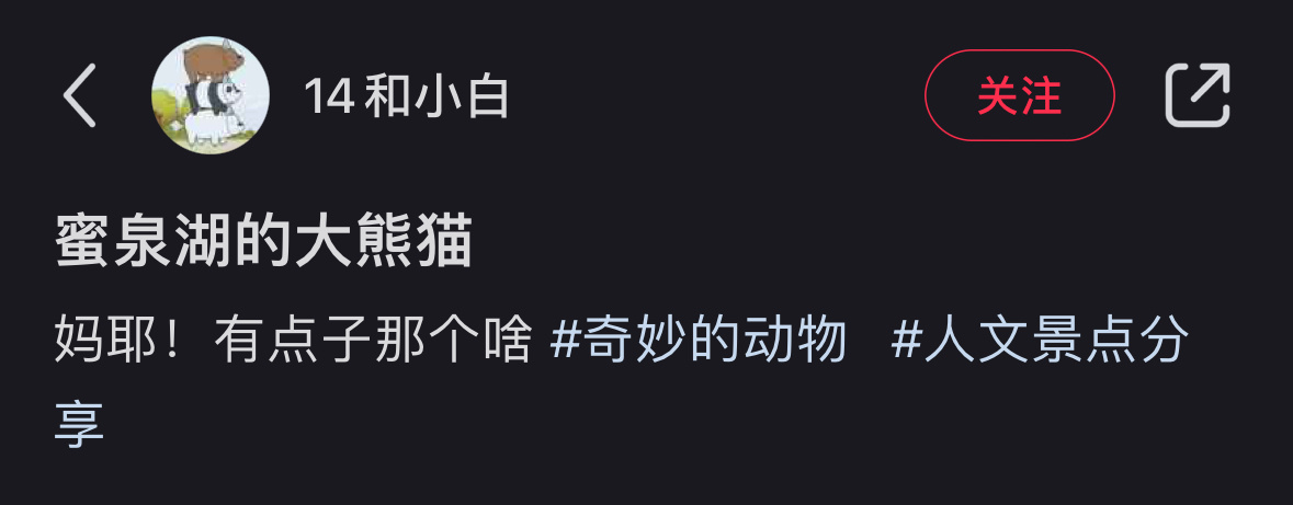 带熊猫过来玩 熊猫说这是鬼屋[跪了] ​​​