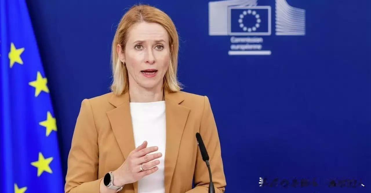 欧盟外长说：马杜罗不具备合法性，支持委内瑞拉政权更迭！
也就是这政权合法不合法，