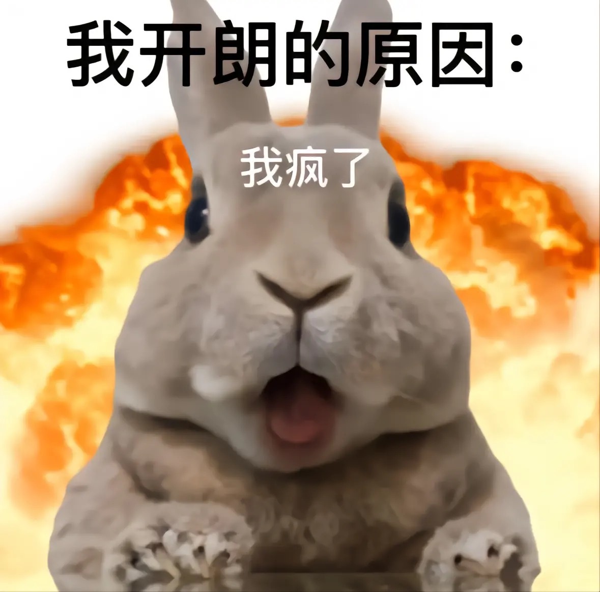太好笑了，刚才下电梯，电梯里只有我和一个搬大铁架的大叔，大叔指着我漏出来的球拍杆