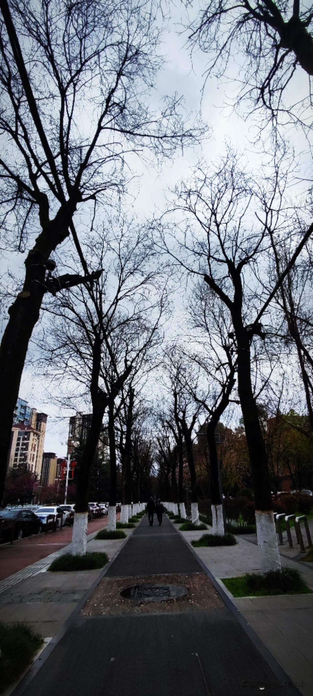 韩愈说：天街小雨润如酥。春日无雨不成春，只因雨是春天的约定。落在脸上，落在衣衫上