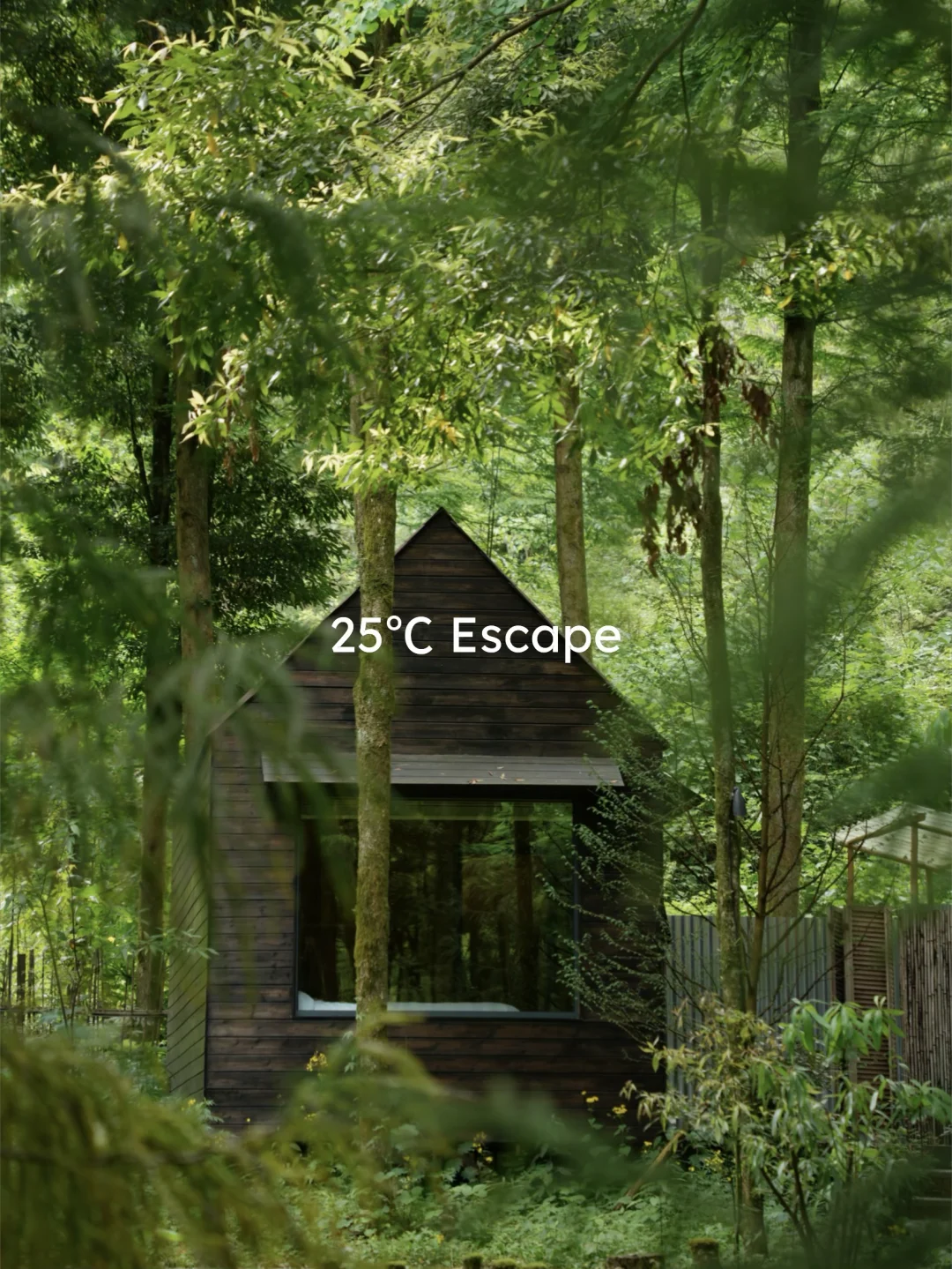 成都35°C+,我在山里过25°C的夏天🌿💦