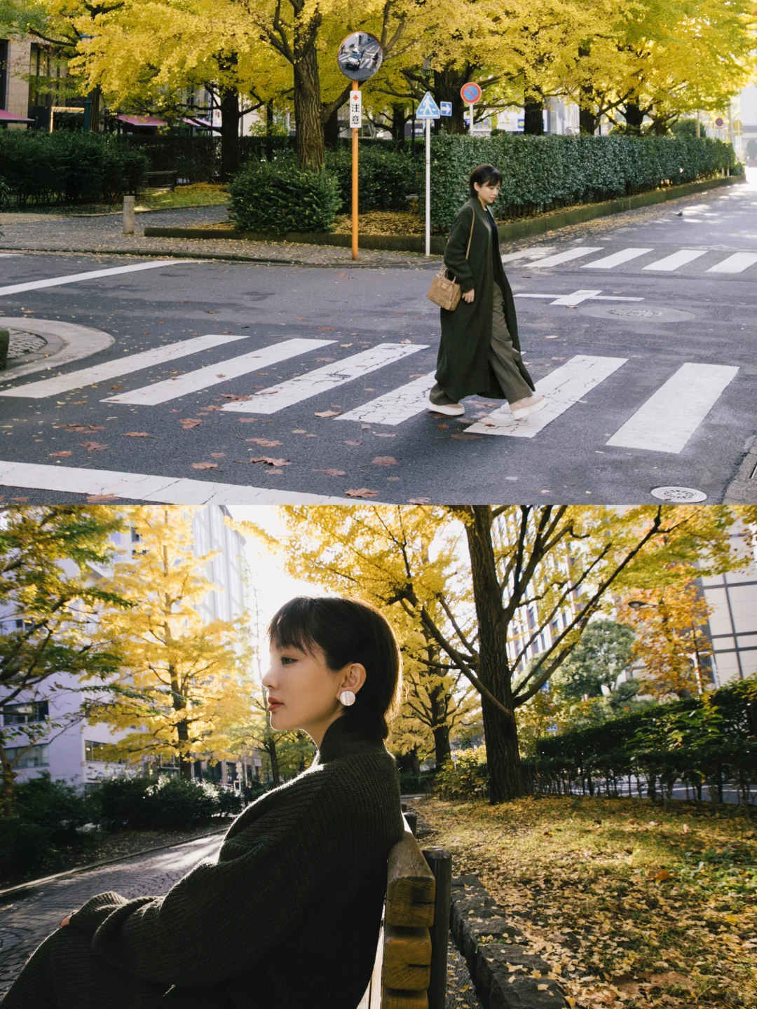 东京秋色，小众银杏秘境🍁