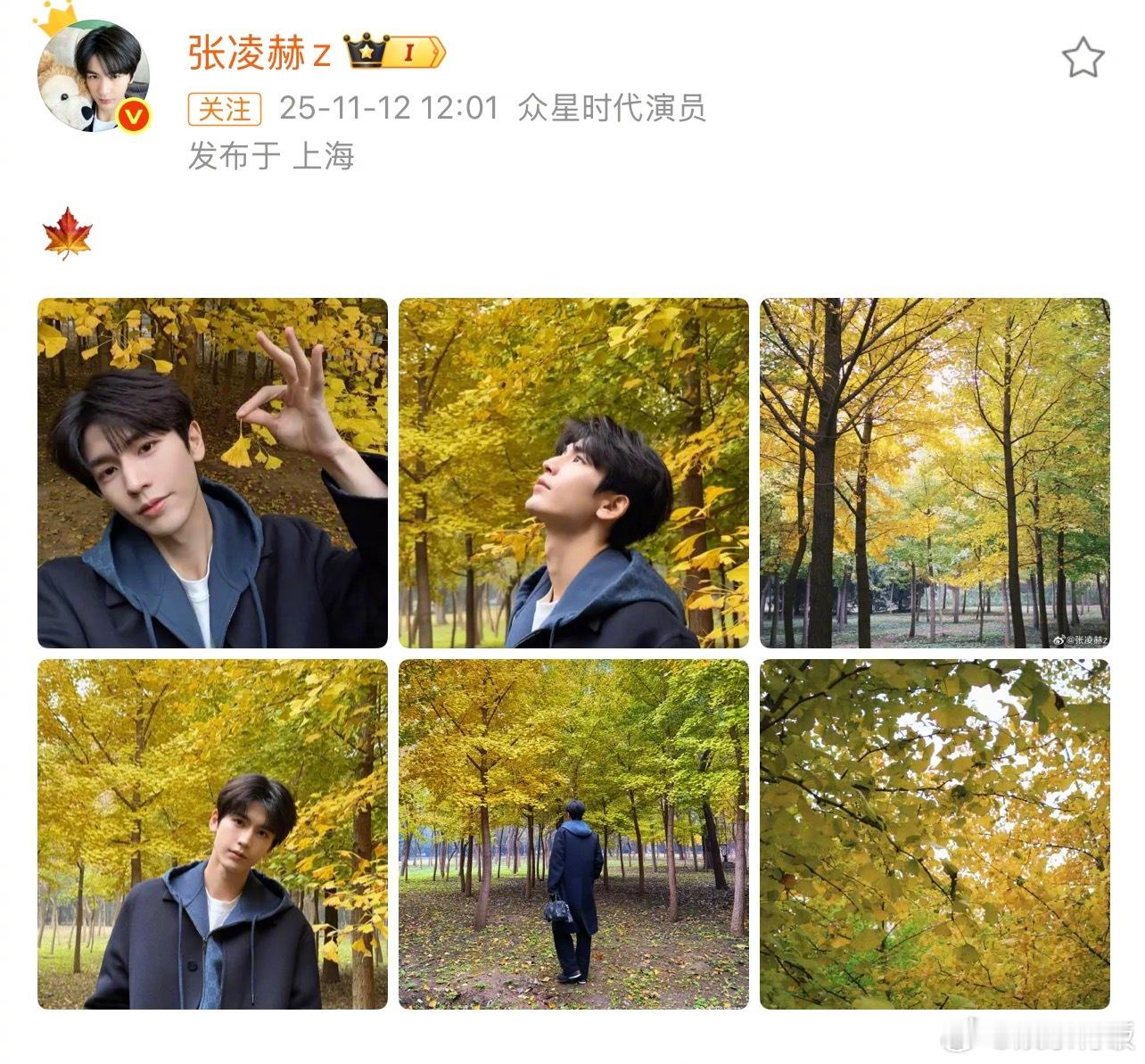 看到大家都在 晒银杏叶的微博下面唱“惆怅的枫叶”，就知道网友们共脑了 凌赫和秋天