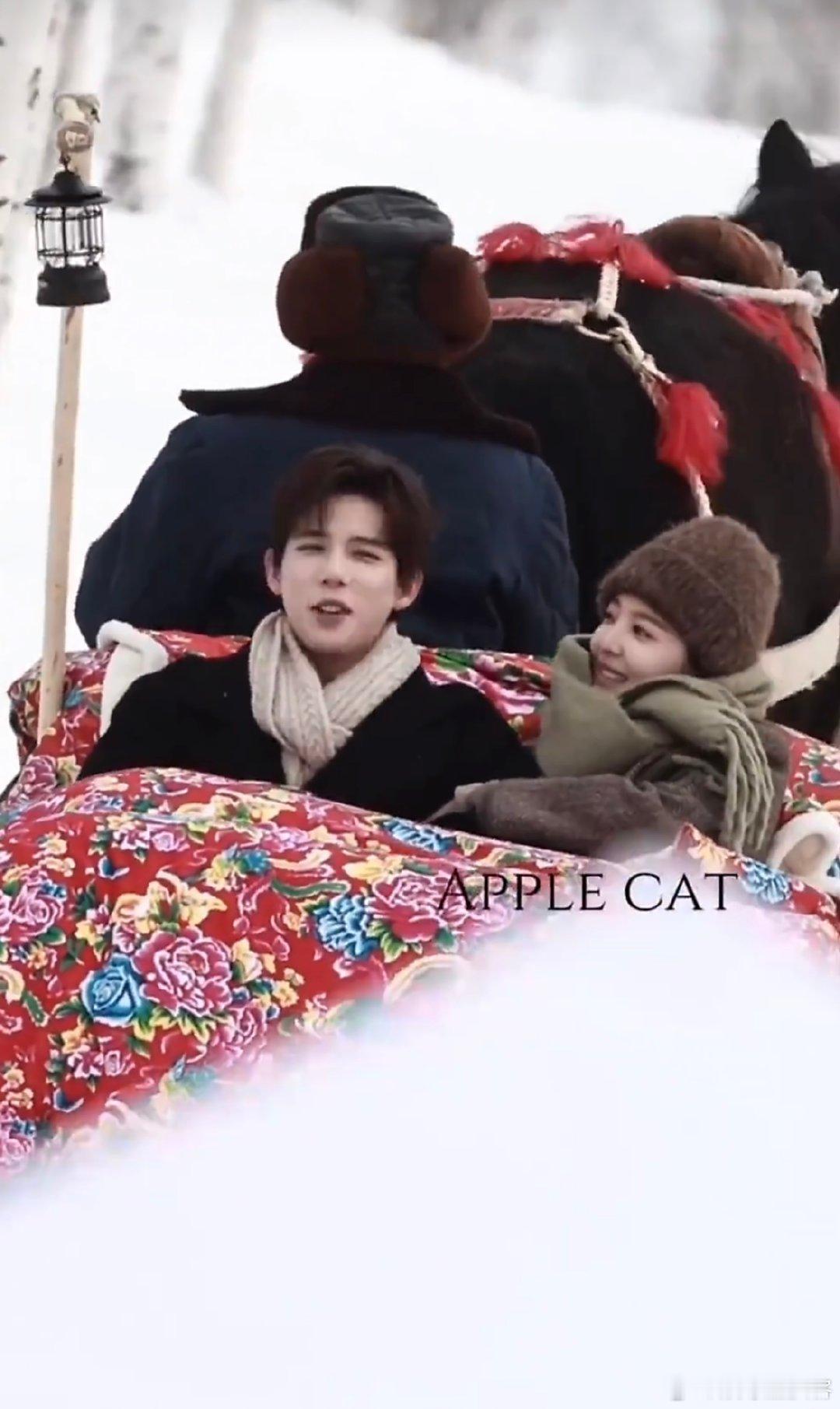 王安宇章若楠现偶版乡村爱情 高颜值搭档遇上接地气的乡村造型，画风又搞笑又好嗑，越