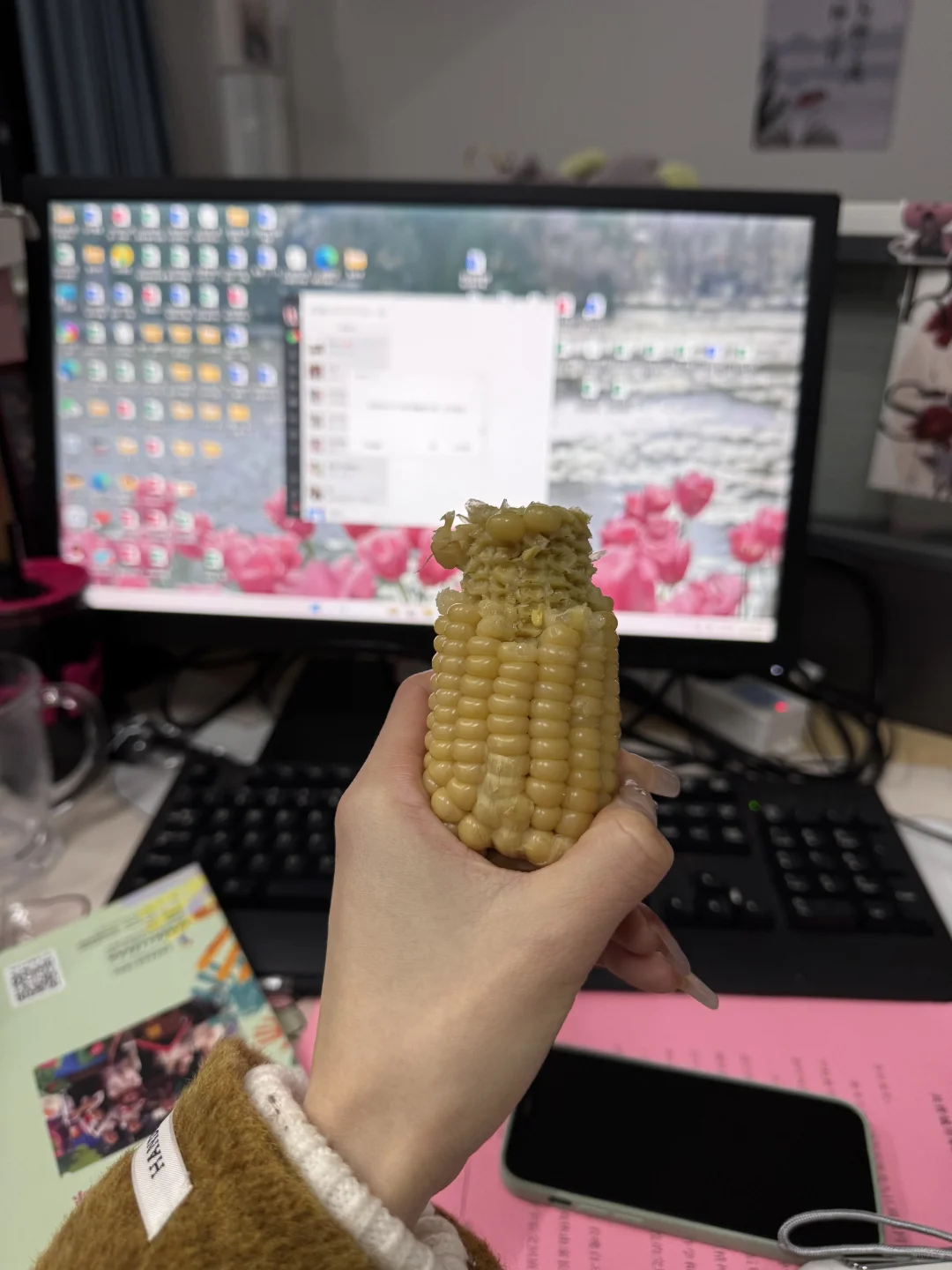 开学第二天 忙到只有晚上抽空吃一根玉米