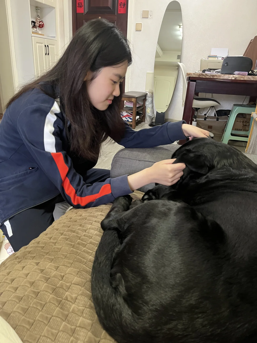 我的小黑狗、我的小黑狗、我的小黑狗