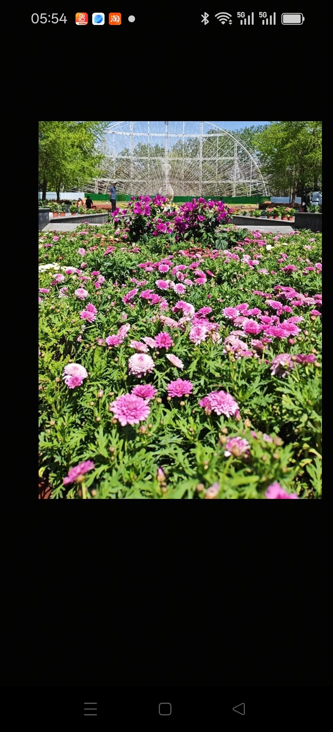 相册里的花花草草百花盛开的季节，到处万紫千红一片海花海