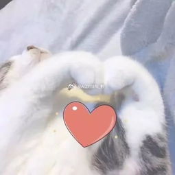 不同分数填志愿时的家长belike 志愿填报现场仿佛情绪缩影，高分从容，中分焦虑