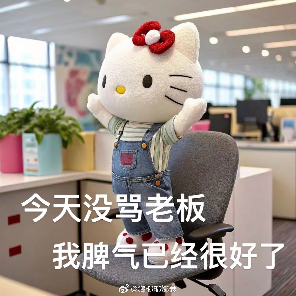 我的心气在慢慢消散,不再像以前那样热烈执着顺着生活走,平淡度日,心无波澜,便是安