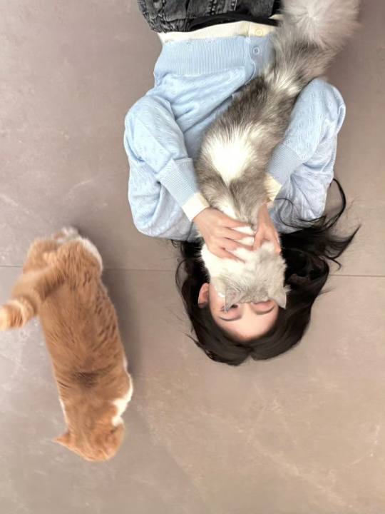 鞠婧祎吸猫照鞠婧祎晒猫猫狐啦鞠婧祎晒猫猫狐 ​​​