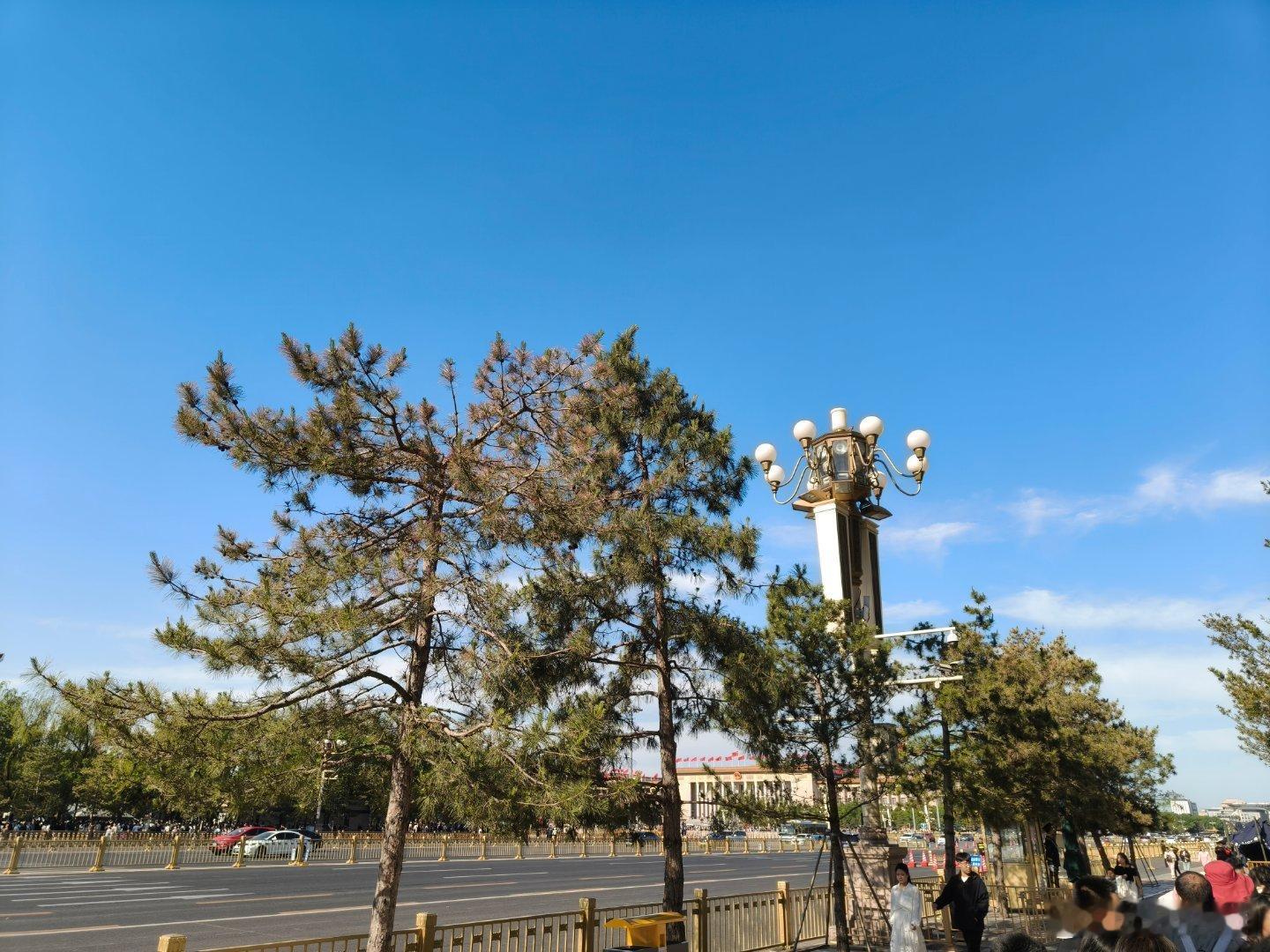 我的五一特种兵式一日游，时间很赶，身体很累，精神很疲惫，不过心情很愉悦。 ​​​