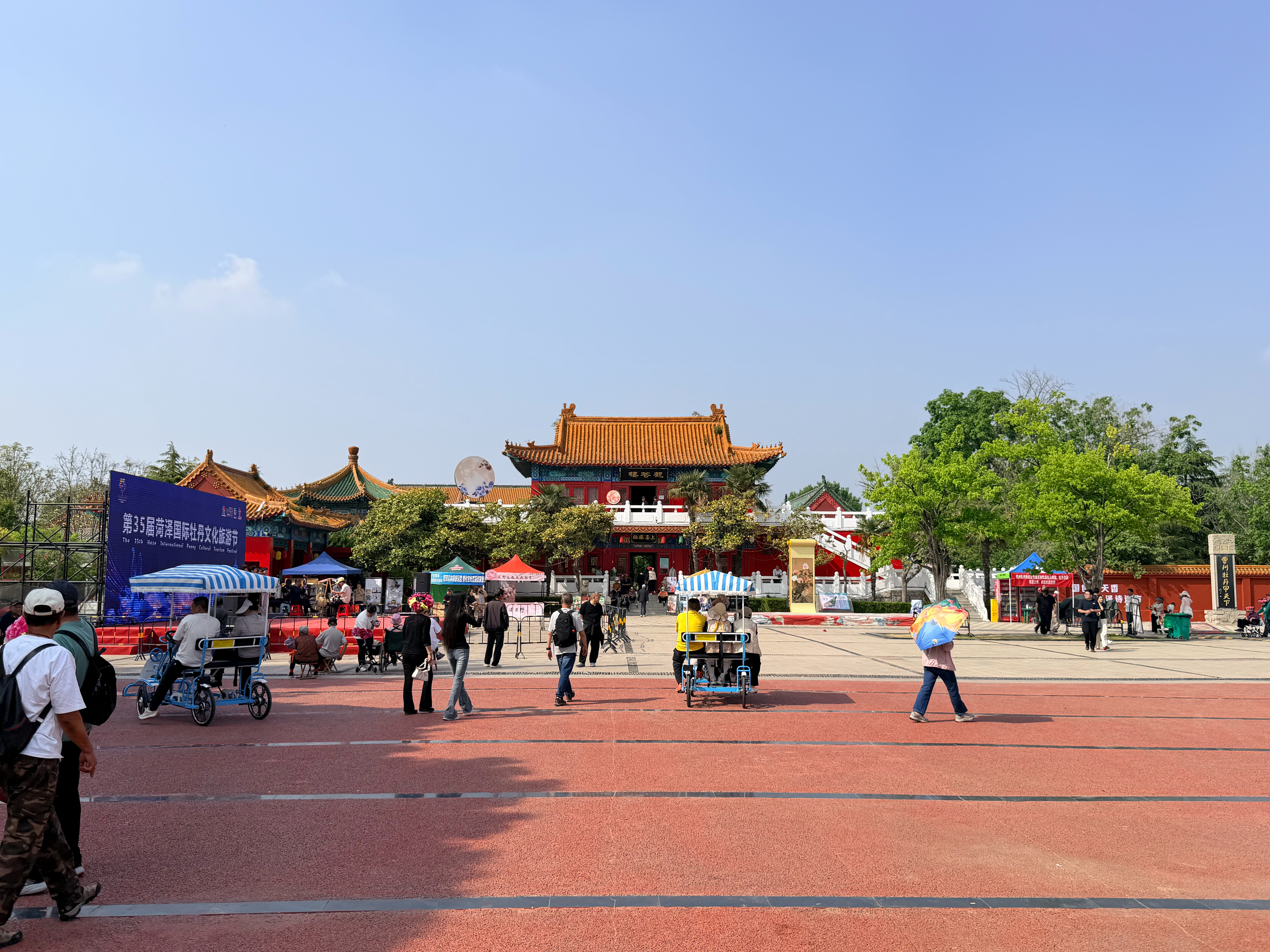 汽车博主无处不在。来看牡丹抓着一台车 菏泽·曹州牡丹园