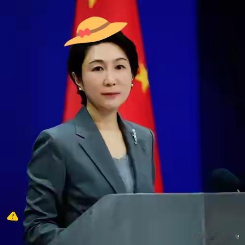 就在刚刚，
中国外交部正式宣布，
1月13日，中国外交部发言人毛宁主持例行记者会