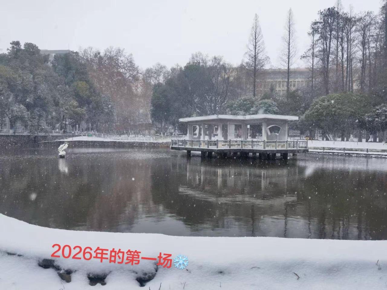 2026年的第一场雪。今天又是全职带宝宝的一天记录身边美景