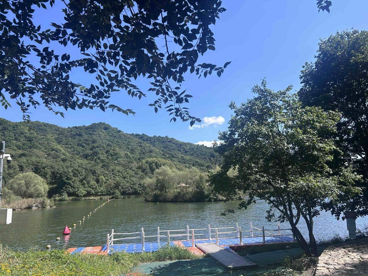 北京延庆玉渡山深处，藏着一汪叫忘忧湖的高山平湖。海拔八百多米的山坳之间，山泉汇聚