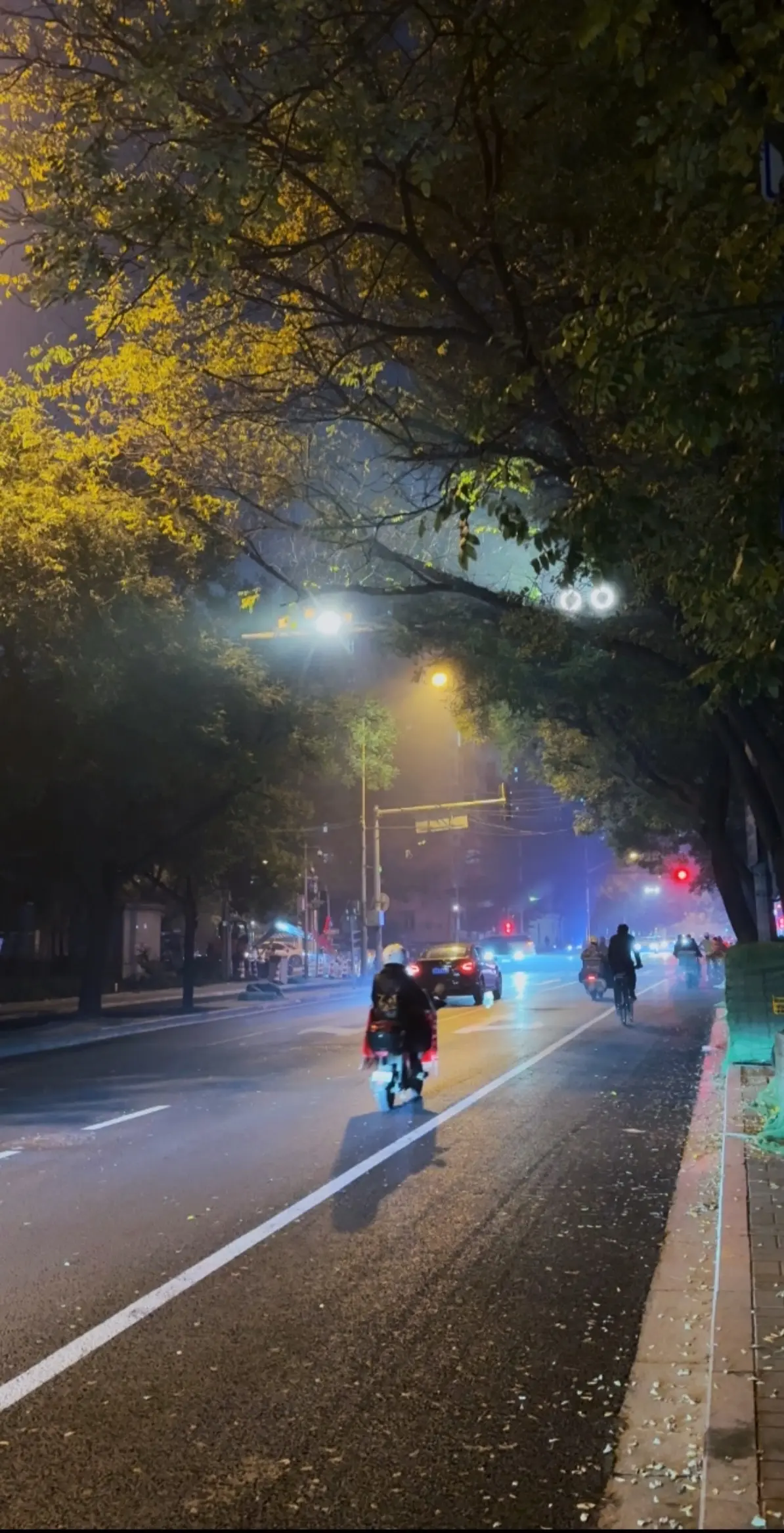 做无名小花 做快乐小狗
