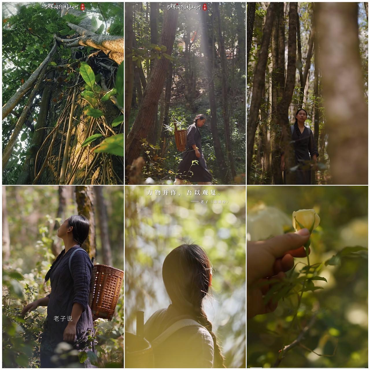 “与辉同行阅山河·云南行”
0420第三个宣传片《自然而然》
行亦禅，坐亦禅，语