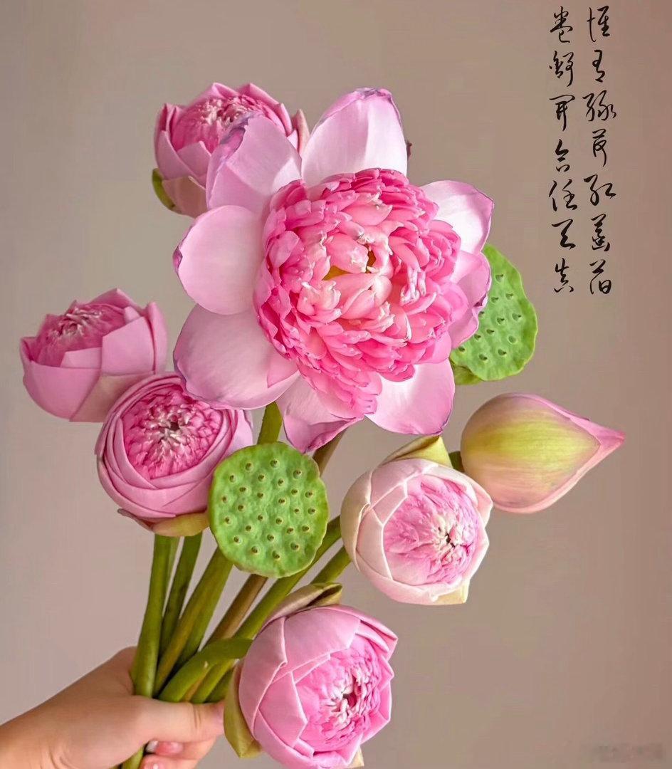 早安[超话]  💐²⁰²⁶/₀₉.🍁𝓟𝓮𝓪𝓬𝓮 𝔀𝓲𝓽𝓱 
