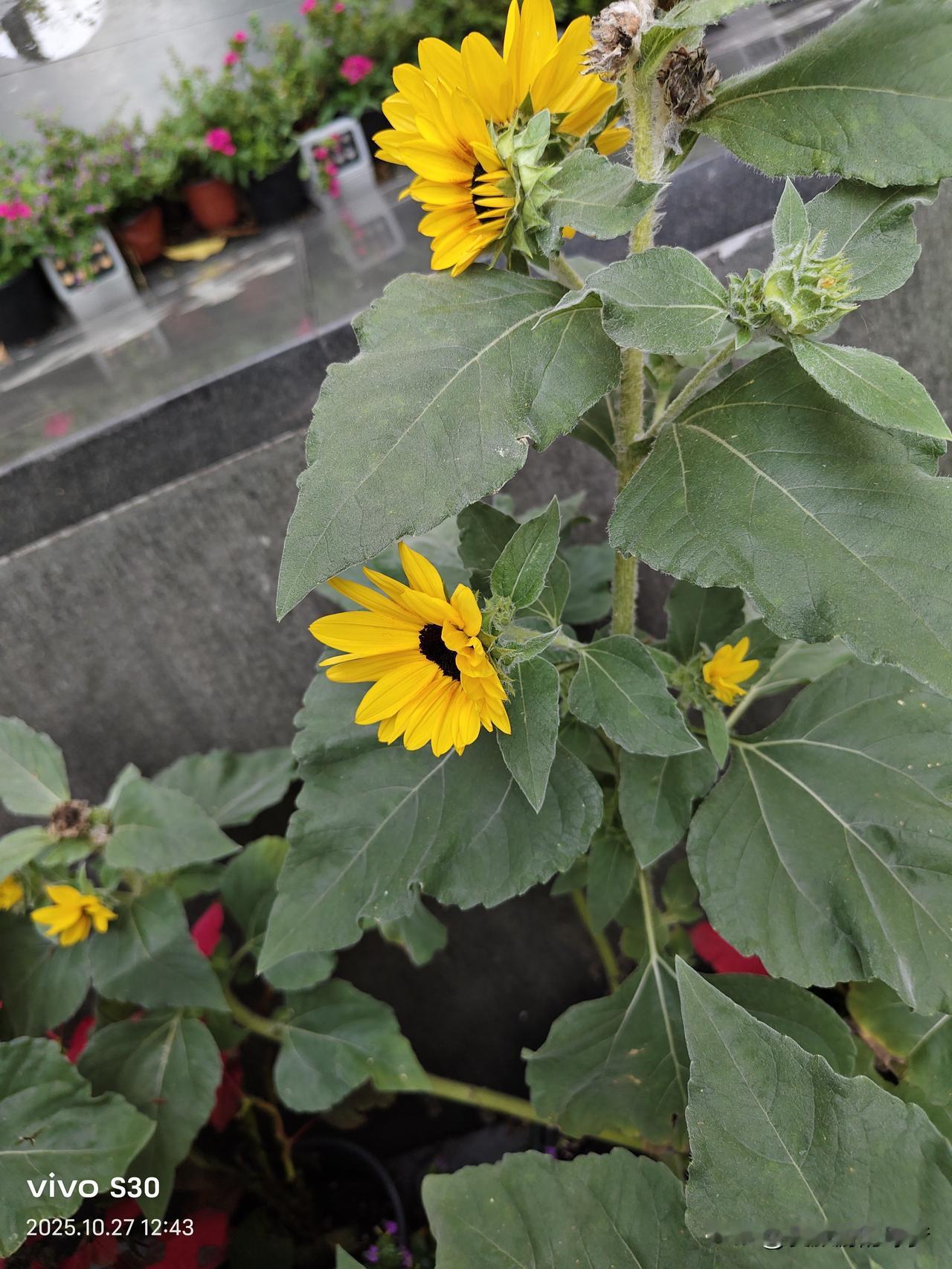 在异乡突然想家的瞬间