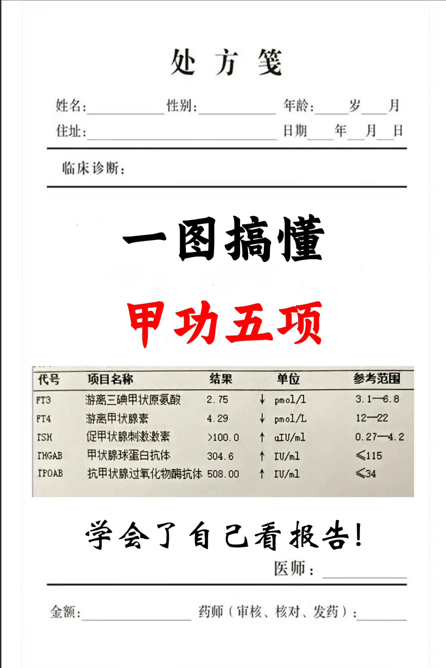 甲功五项 甲功报告 健康科普 涨知识