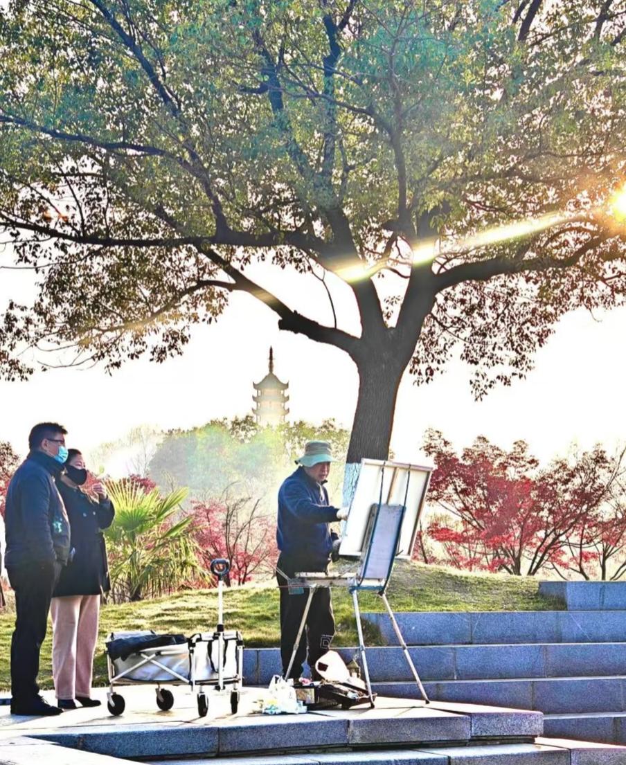 阳光把影子揉得软软的，两人各捧半寸屏幕，风裹着春的暖，把闲聊的碎语都晒得发甜。连