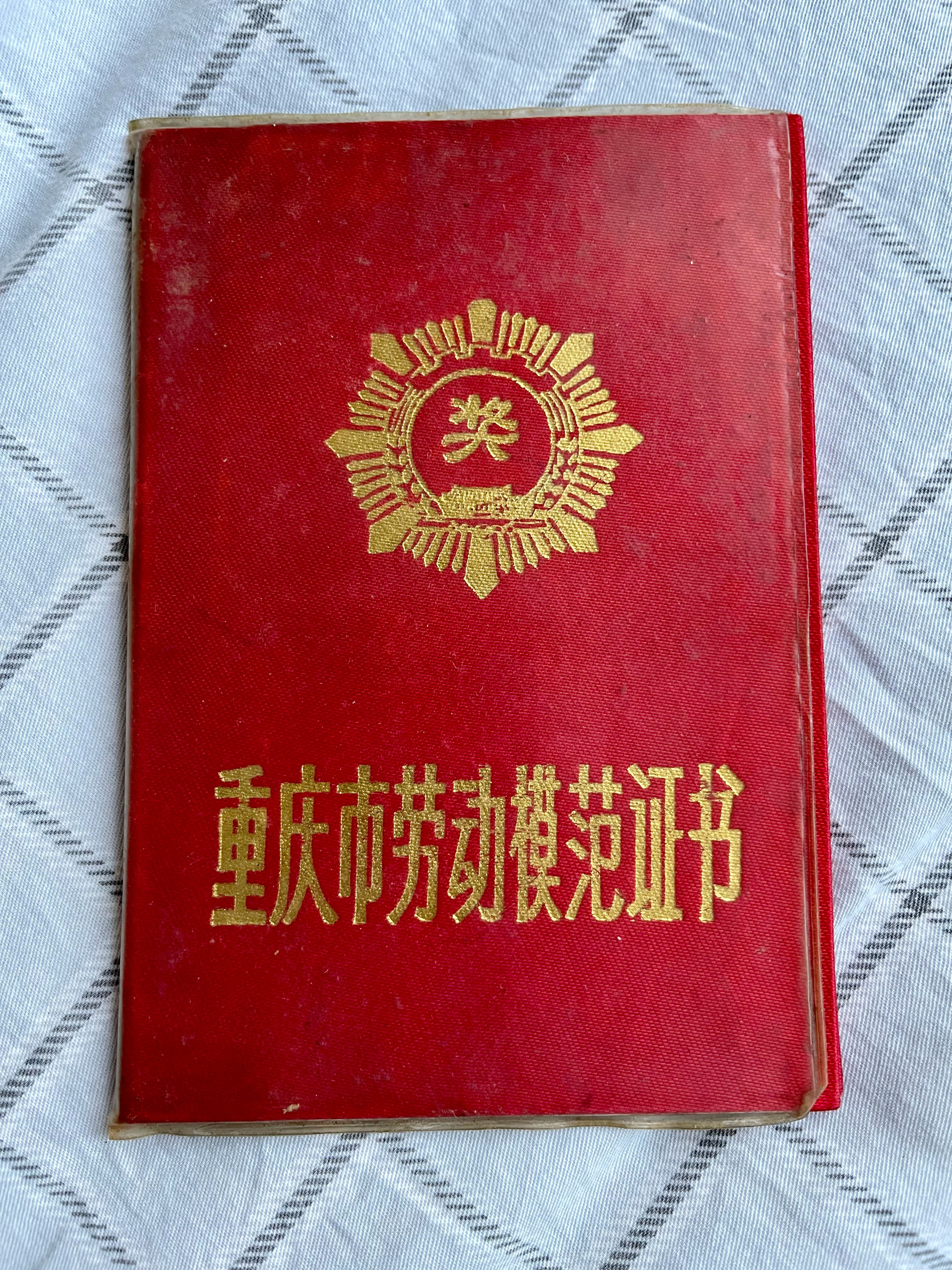 在收拾老妈的遗物里找到的：一心跟党走的母亲！ ​​​