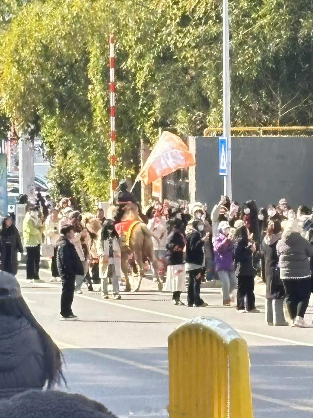 胖吉吉家这是和🏇🏻一起联手么[允悲] 