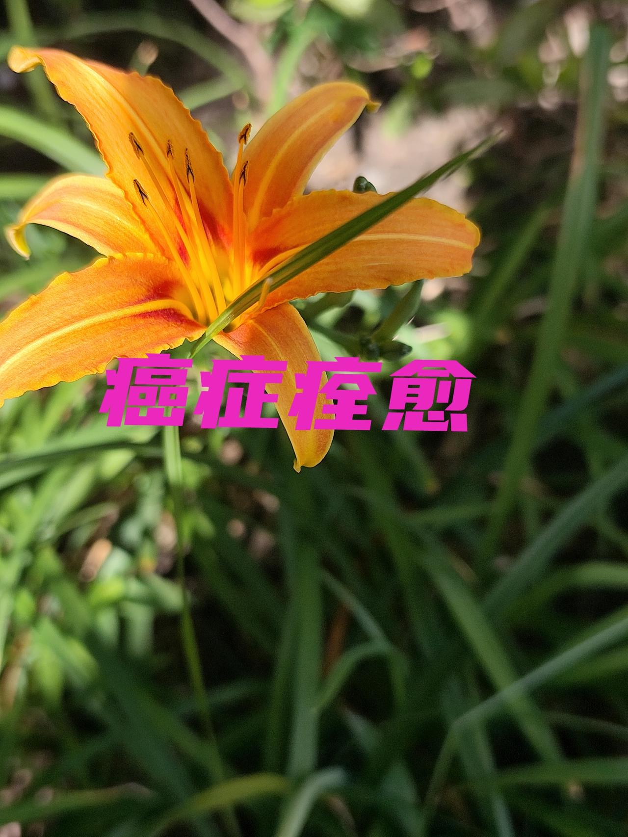 什么人都可以痊愈。只要符合以下5个条件。
别被那些分期、病理、危重程度的数字吓倒