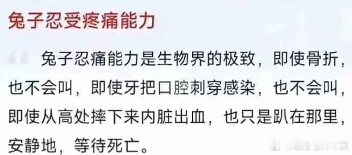 抱着好奇的心态去查P1资料，无意中看到了这篇震撼的文章……何来忍痛一说……只不过