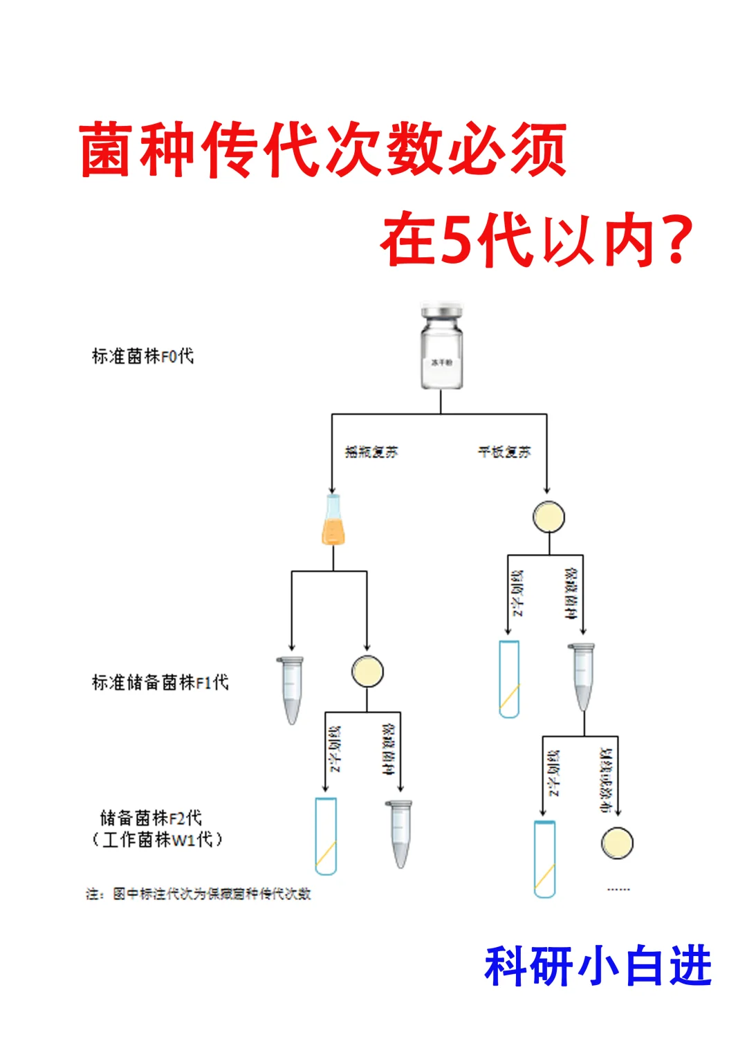 🔥菌种传代次数必须在五代以内？