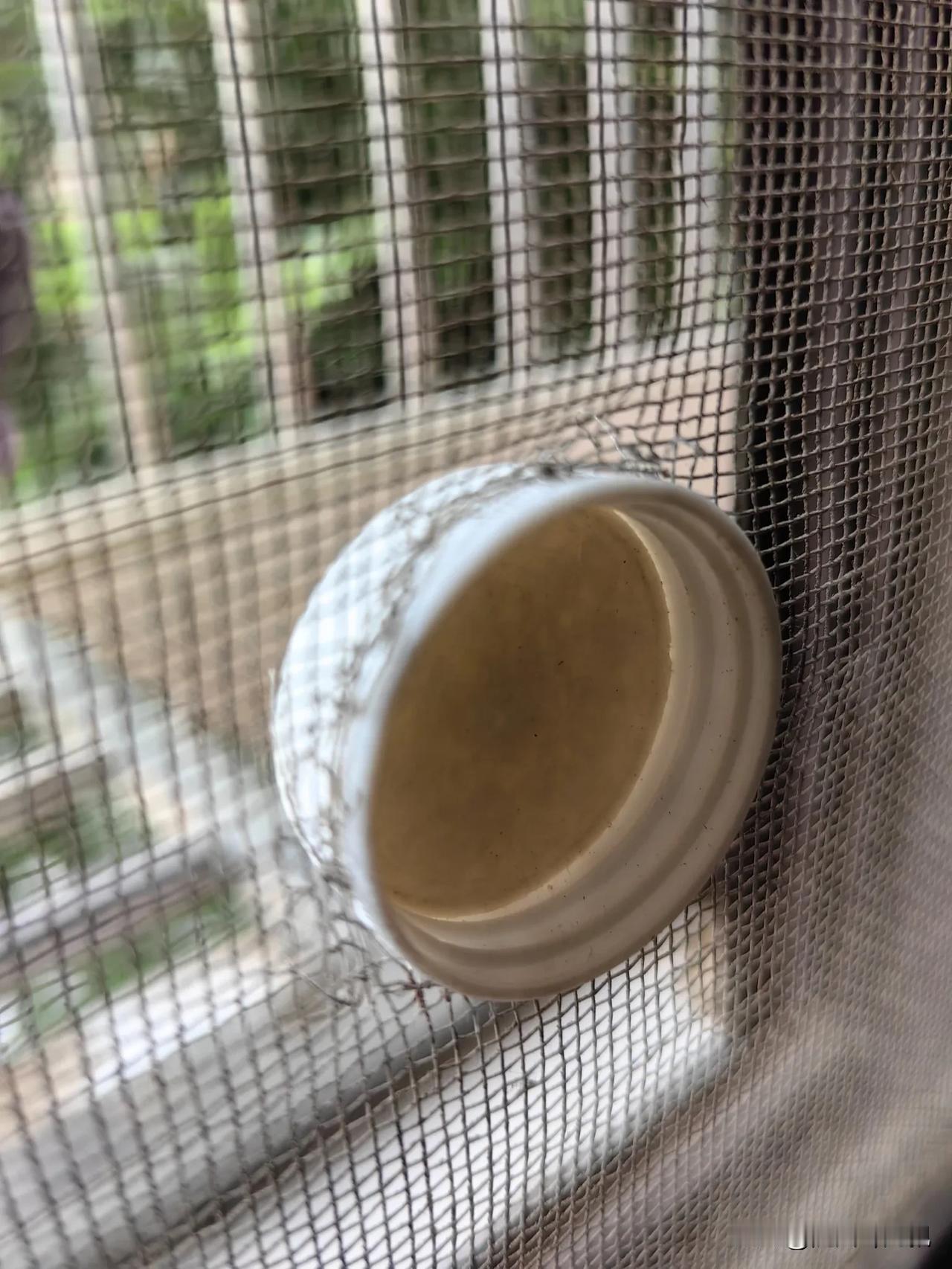 妈妈太可爱了，废弃的可乐瓶盖变废为宝，把起了个小窟窿的沙窗修补得满满当当天衣无缝