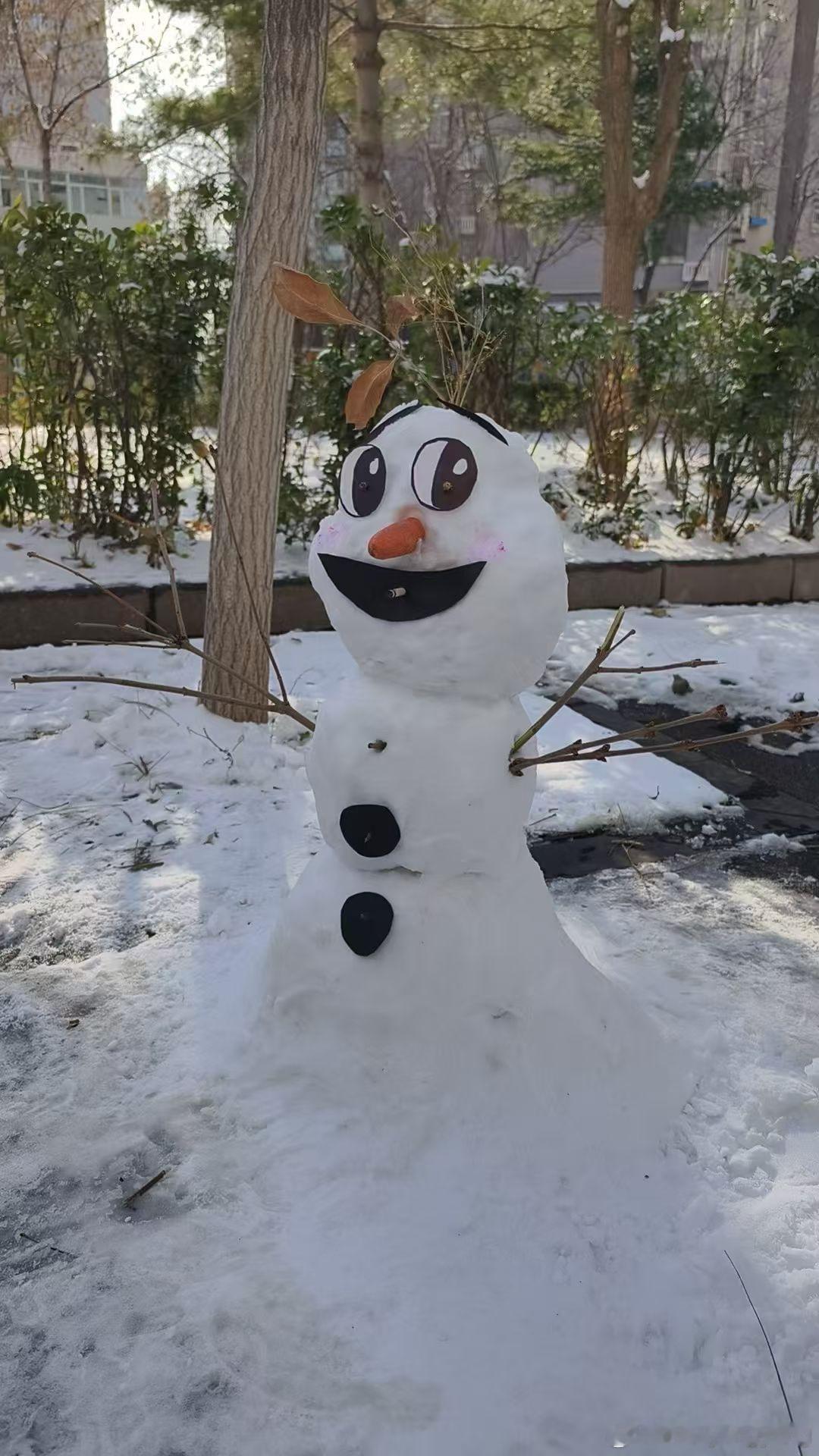 2025初雪摄影大赛 这些可可爱爱的雪人们☃️ 