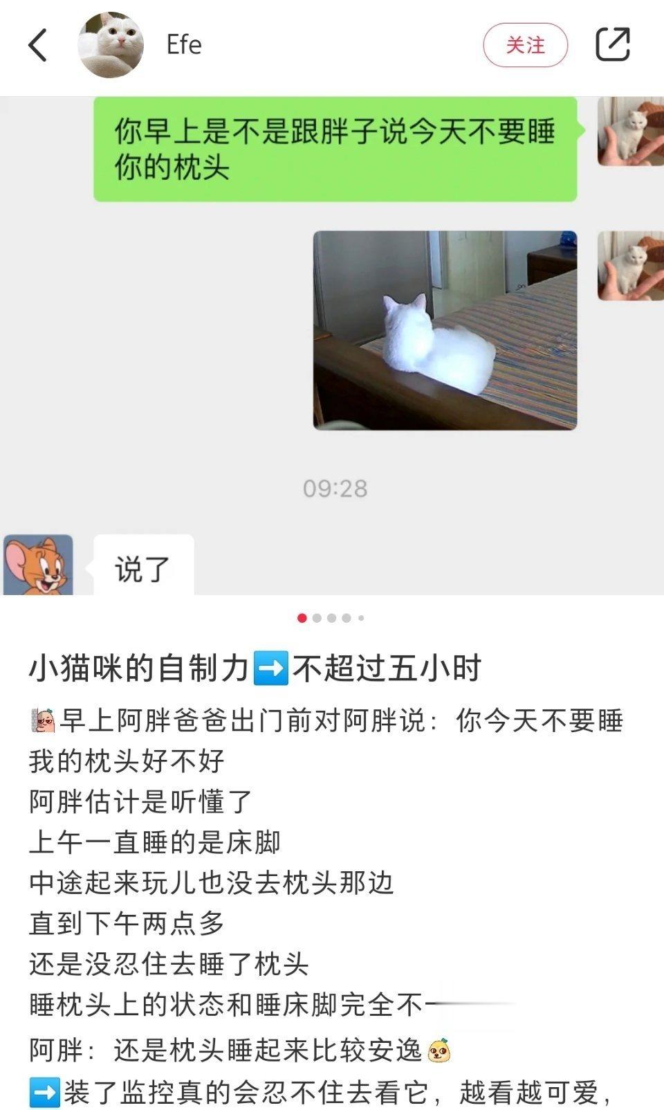 哈哈哈哈哈哈已经很努力克制自己了 ​​​