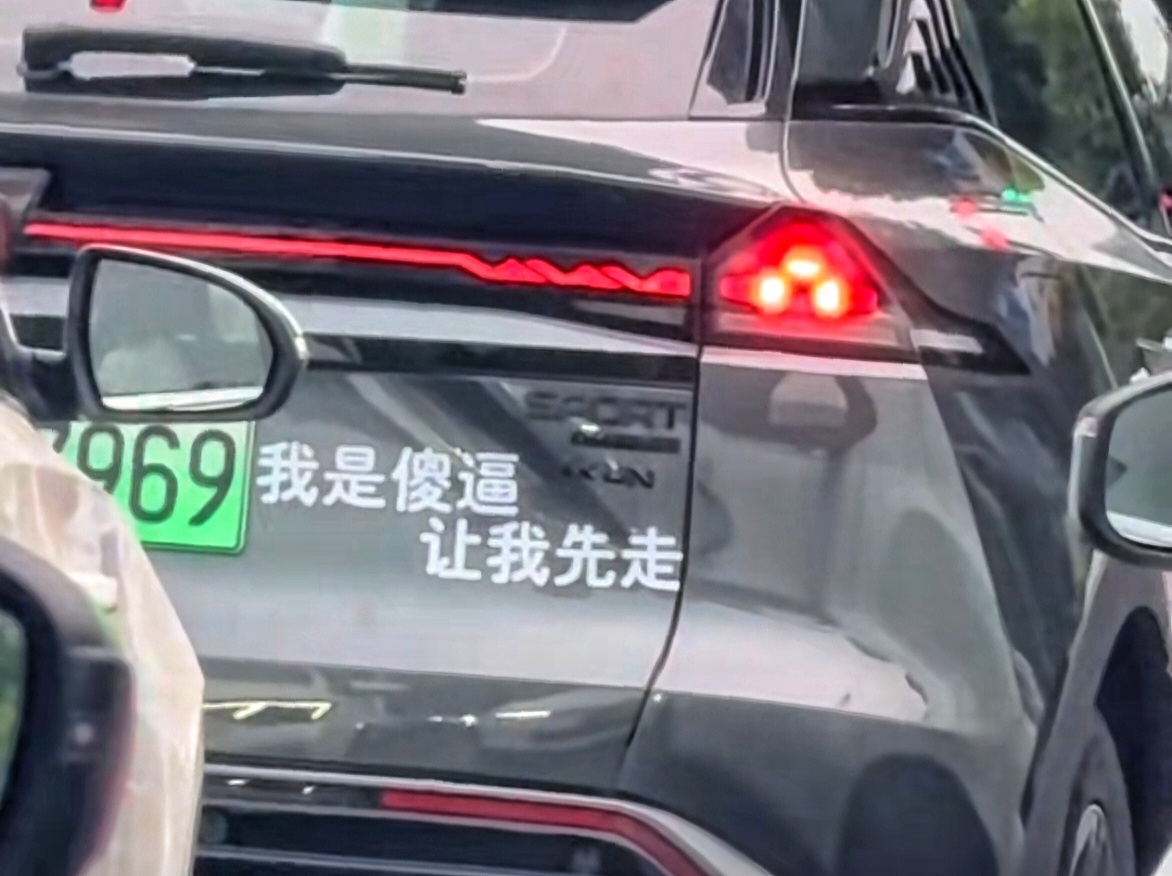 遇到这位车主，高低也得让让吧？ ​​​