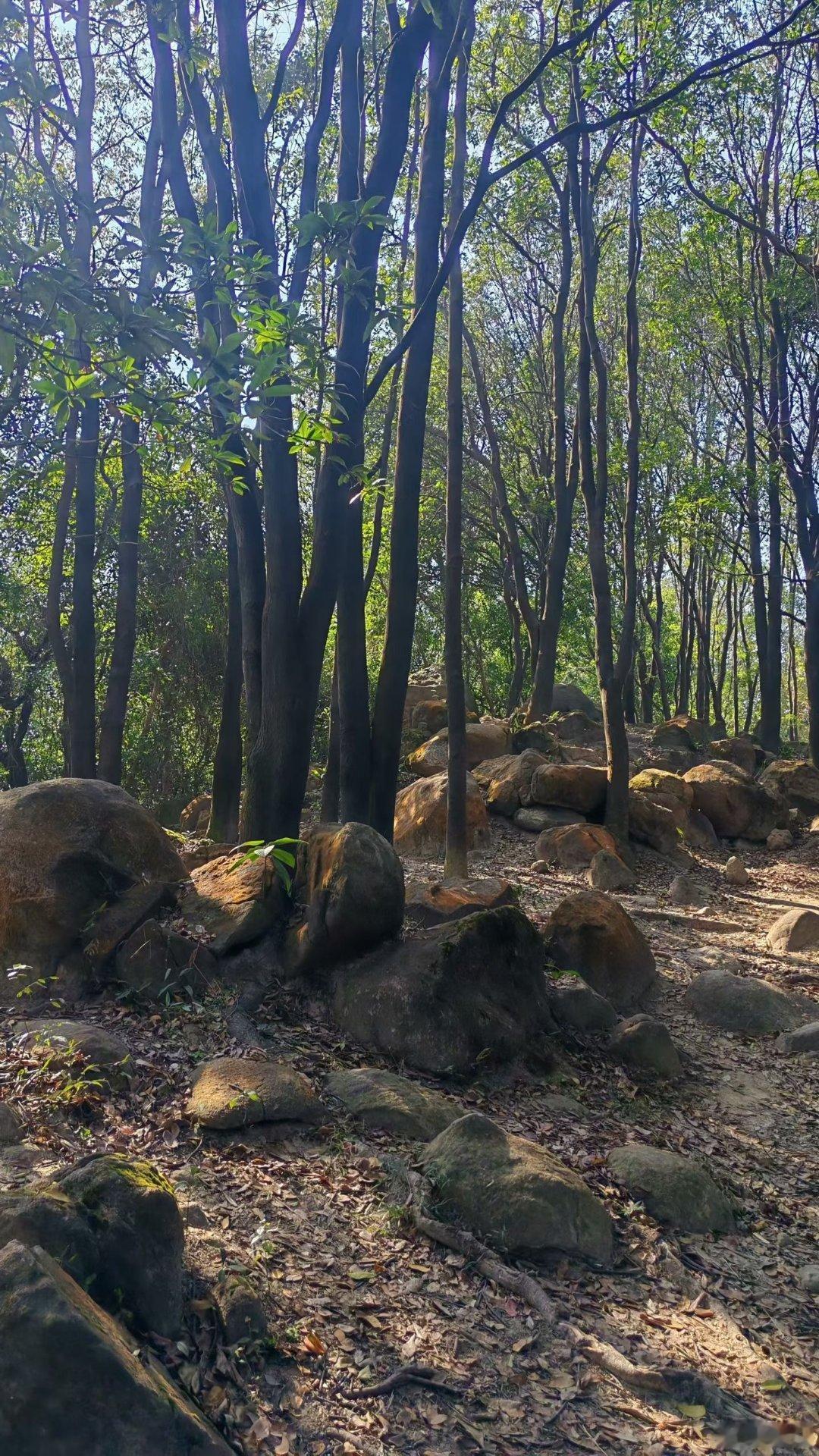 成功的案例无一用。相反，失败的案例给人更多启示。远离吹嘘者。 