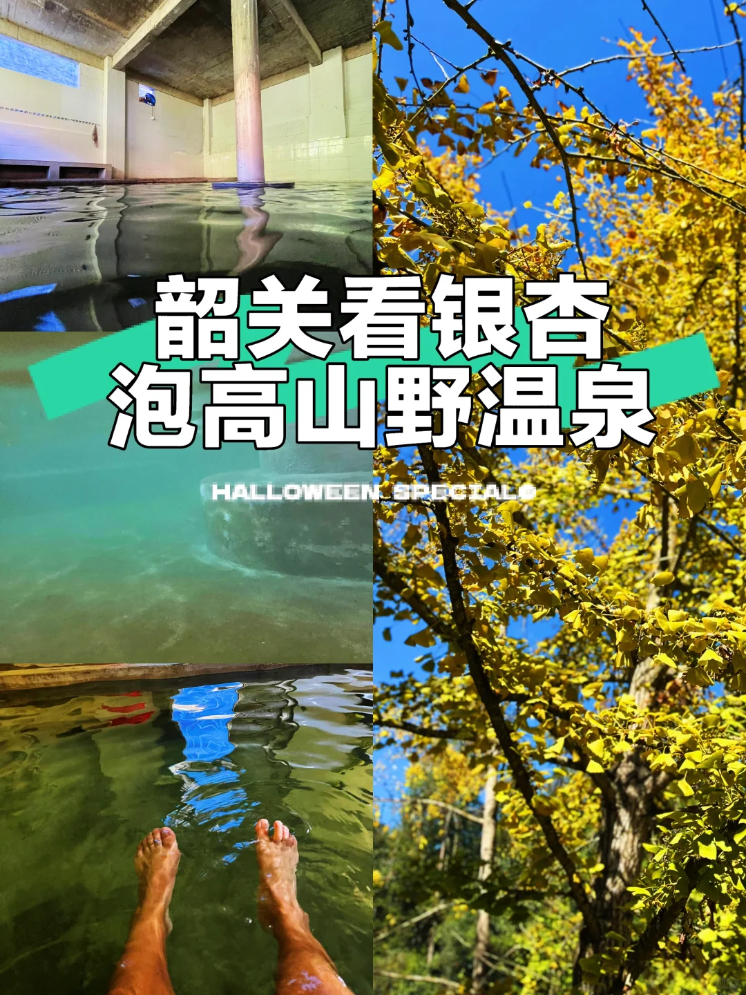 韶关看银杏泡高山免费野温泉攻略