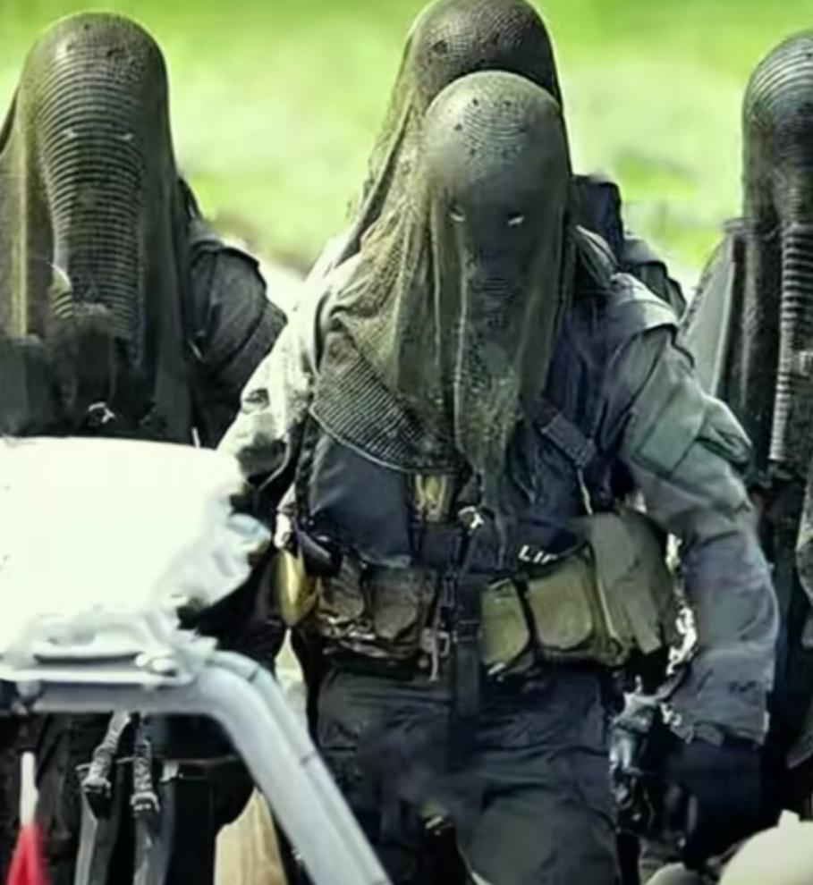 面对丹麦三支特种部队，美军敢动用武力夺取格陵兰岛吗？



丹麦没有想象中那么弱