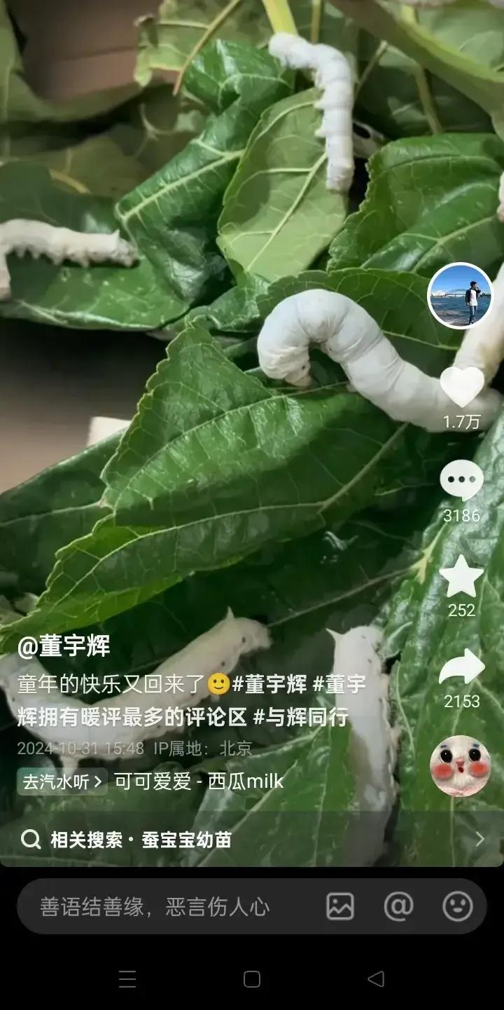 下一季度再亏损应该没有锅了吧
咱不是专业财务人员看不懂财报
本就是子公司创造的利