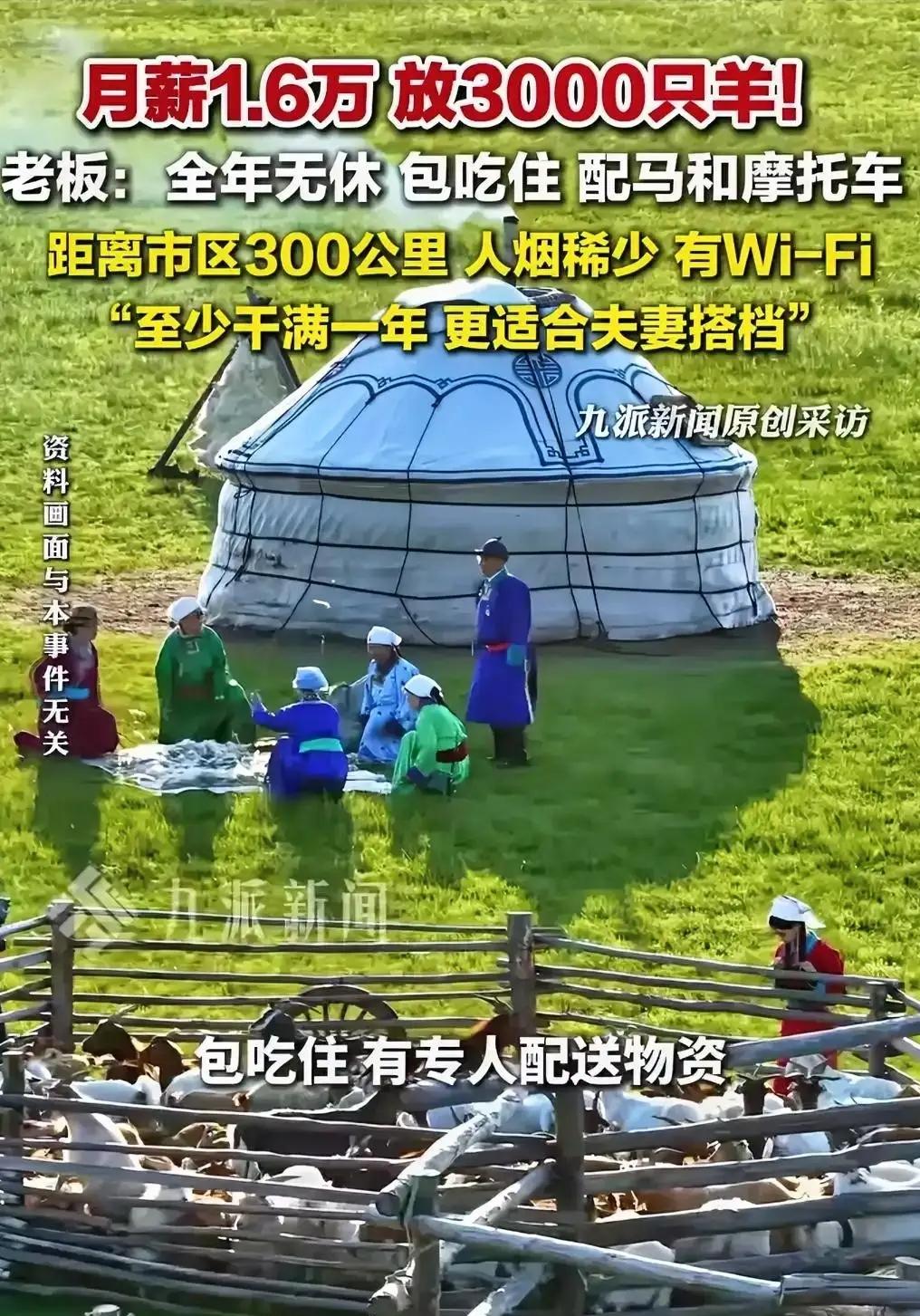 月薪1.6万，放3000只羊，全年无休，你愿意吗？内蒙古锡林浩特一则招聘火了：月