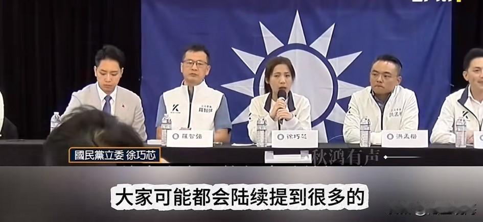徐巧芯请侨胞回台投票
何不到大陆找台商？

近日，中国国民党籍的几名“立委”，包