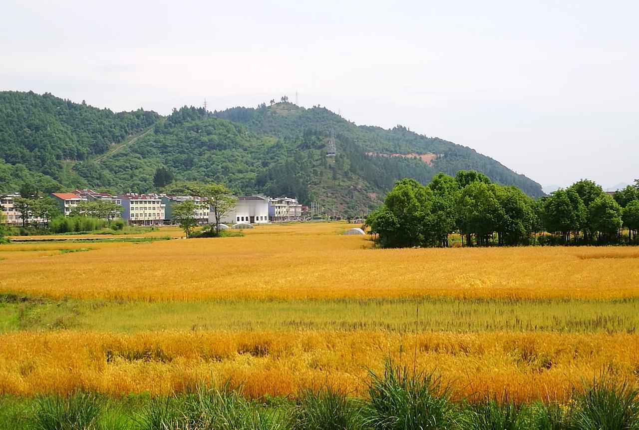 【秋野】
