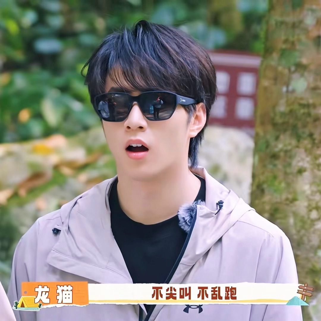 谁懂“不尖叫不乱跑”字幕正好切到文文的幽默 好形象演示呆在原地不动可以直接拿去做