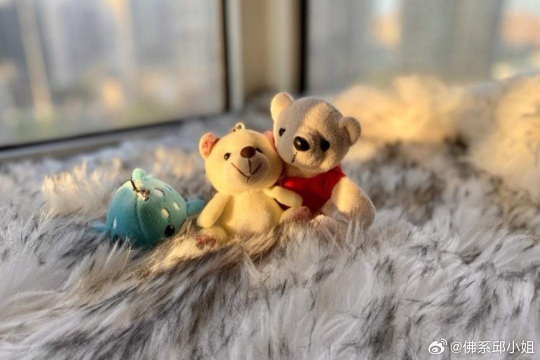 每天清晨能安然睁开眼，看见这个世界，就已是莫大的幸福。不必执着于今日所得，也不必