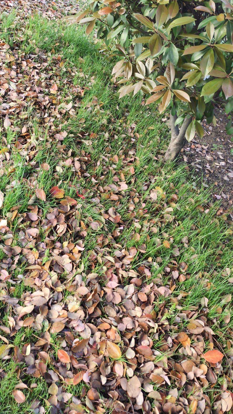 可爱多一点，干爽多一点生活就该可爱多一点，干爽多一点！我觉得每一次突破自我，都是