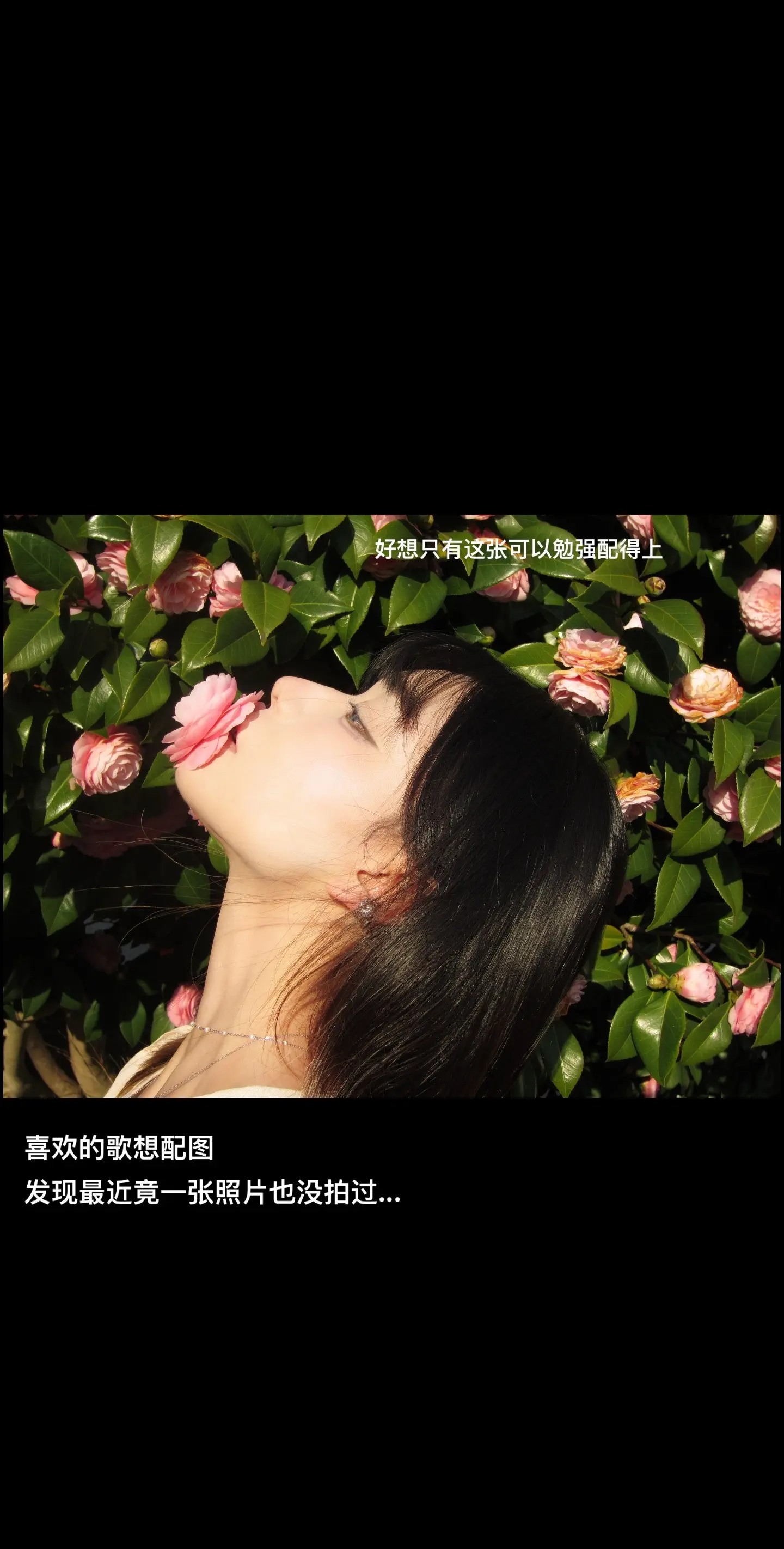 没更新的日子都在强撑好好生活。