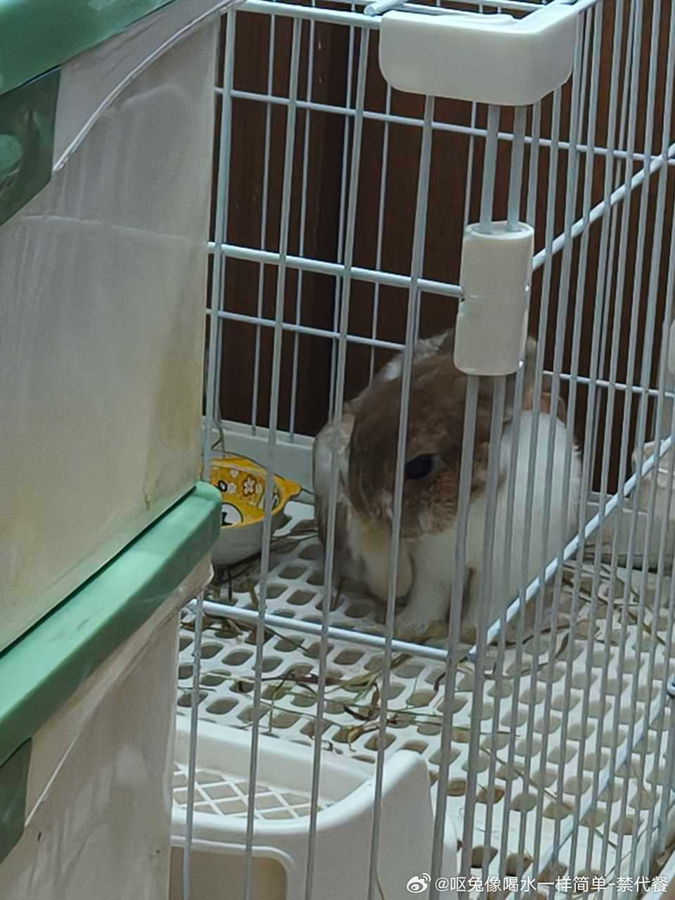 14191🐇【】啃臭 