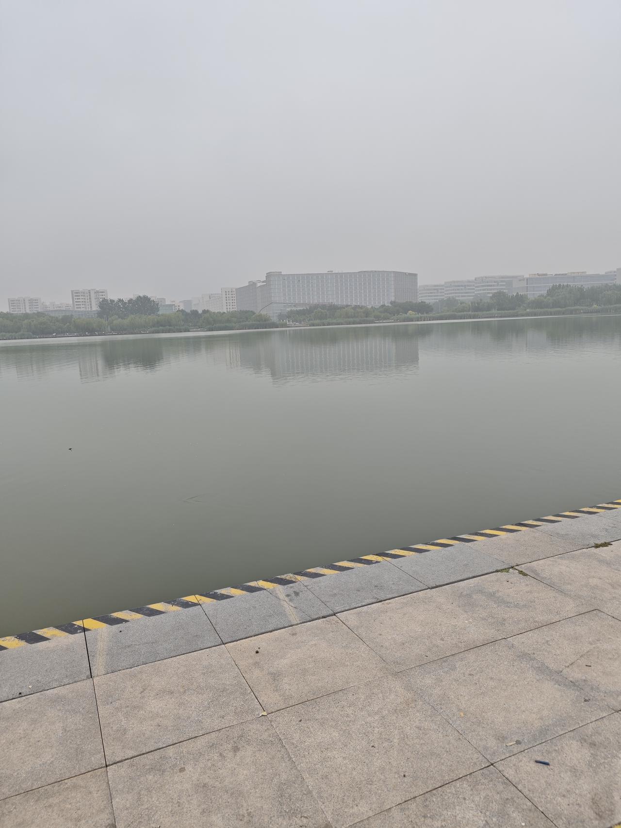 昨天我去陪孙女玩，真是开心。

一早我就带上炖好的牛肉，又去市场买了猪里脊和一条