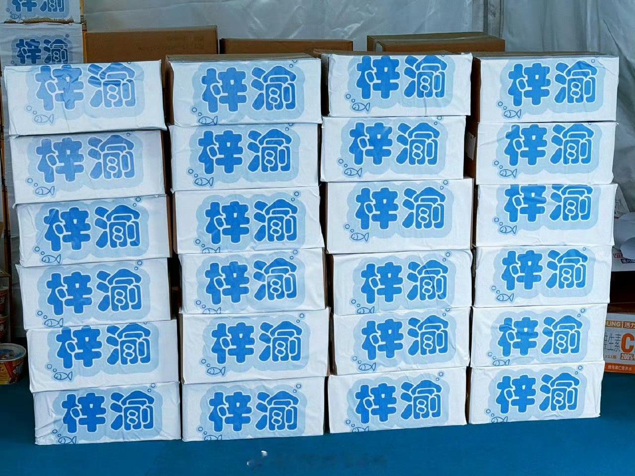 梓渝逆应援为粉丝送月饼梓渝音乐节逆应援粉丝月饼梓渝音乐节逆应援粉丝月饼，感动，[