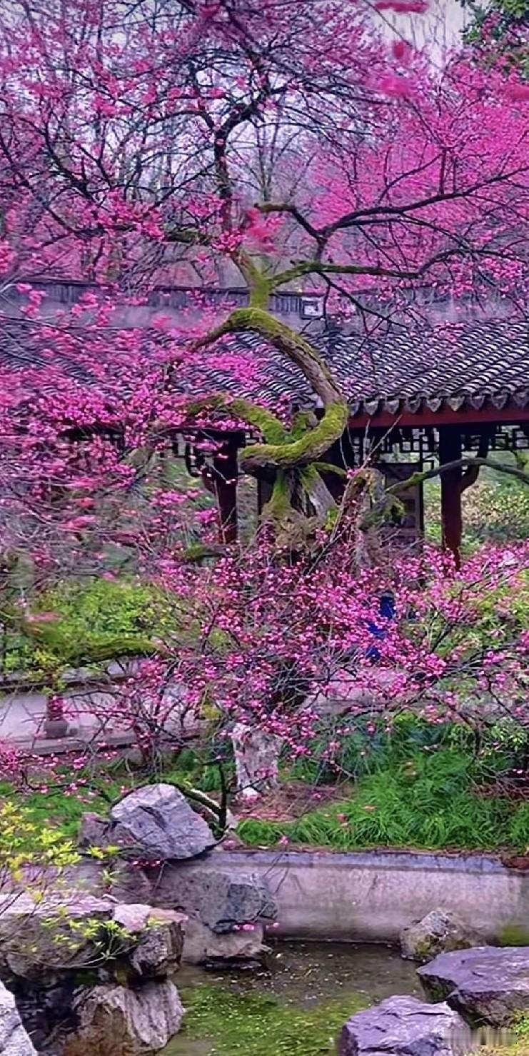 上班之前我家死鬼他弟弟在微信上和我说话，问我方便不，和我语音电话。
我说当然方便