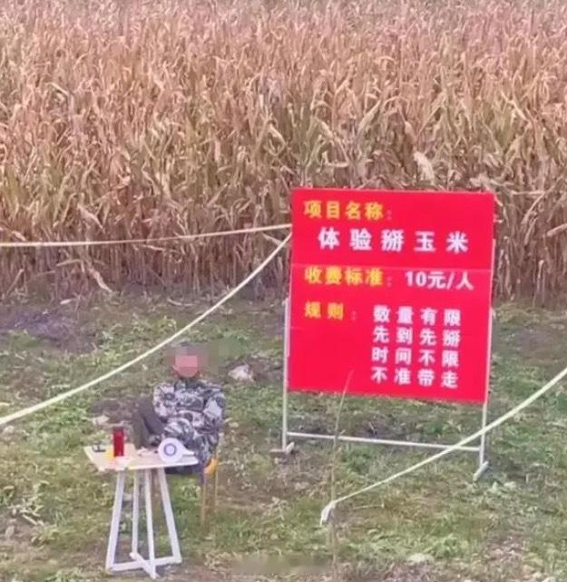 急出一张5.6号白天场我工位的座位票，位置完美，电脑网速很棒，现场工作氛围完美，